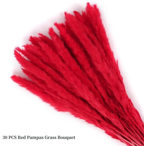 باقة عشب بامباس الحمراء 30 قطعة XMFAYUAN، عشب القصب، زهور مجففة، نبات مجفف عشب بامباس ملون لديكور المنزل والهدايا in Kuwait
