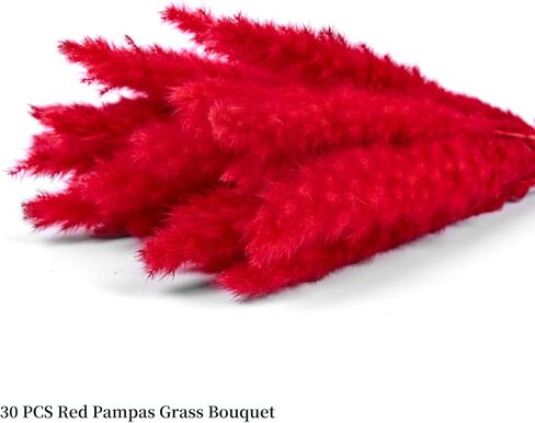 باقة عشب بامباس الحمراء 30 قطعة XMFAYUAN، عشب القصب، زهور مجففة، نبات مجفف عشب بامباس ملون لديكور المنزل والهدايا in Kuwait