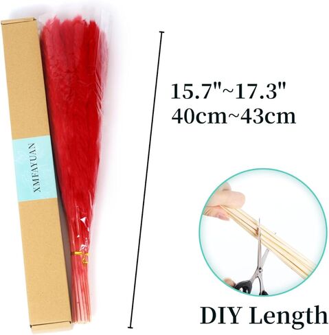 باقة عشب بامباس الحمراء 30 قطعة XMFAYUAN، عشب القصب، زهور مجففة، نبات مجفف عشب بامباس ملون لديكور المنزل والهدايا in Kuwait