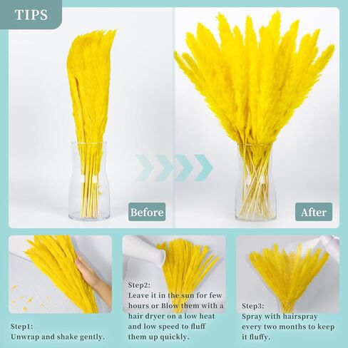 باقة عشب بامباس الحمراء 30 قطعة XMFAYUAN، عشب القصب، زهور مجففة، نبات مجفف عشب بامباس ملون لديكور المنزل والهدايا in Kuwait