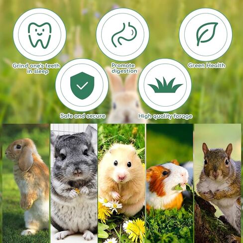 PStarDMoon Bunny Chew Toys, Apple Wood Sticks Timothy Hay Sticks Sweet Bamboo，Snacks for Rabbits, Promote Teeth Health, Digestive Health, Suitable for Rabbits Hamsters Guinea Pigs Chinchillas (1) in Kuwait