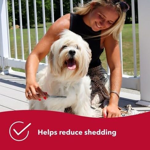 Coastal Pet Safari Dog Shedding Combs - Dog Shedding Brush for Dogs with Short and Long Hair - Different Sized Teeth for Undercoat Rake - 7" x 1.5" in Saudi Arabia