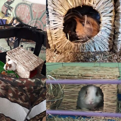 Hamiledyi Bunny Grass House with 2 Grass Mat and Play Balls Foldable Toy Hut for Rabbit, Squirrels, Guinea Pigs Play and Sleep Edible Grass Hideaway in Kuwait