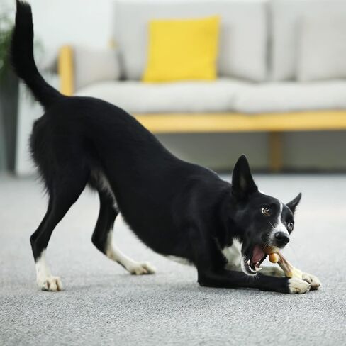 لعبة مضغ الكلب المتينة من تيكاتون آي بون للمضغ العدواني، نكهة لحم الخنزير المقدد، كبيرة جدًا in Kuwait