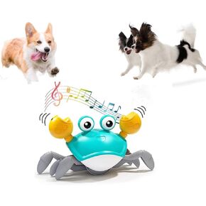 ألعاب الكلاب التفاعلية الزاحفة من gkqlczyy، مع أجهزة استشعار لتجنب العوائق، مع أصوات موسيقية وأضواء للحيوانات الأليفة، مناسبة للقطط والكلاب للتفاعل واللعب، وتعلم ألعاب الزحف في مرحلة الطفولة in Kuwait