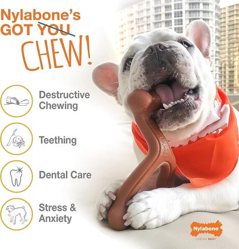 Nylabone 2 Pack of Power Chew Extreme Chewing Braided Bully Stick Alternative Dog Toys, Giant, Made in The USA2 in Saudi Arabia