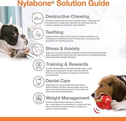 Nylabone 2 Pack of Power Chew Extreme Chewing Braided Bully Stick Alternative Dog Toys, Giant, Made in The USA2 in Saudi Arabia