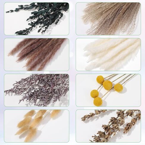 فو يامب باقة زهور مجففة من 60 قطعة مقاس 15 انش من عشب البامباس الطبيعي وذيول الارنب المجففة والقصب المجفف، ديكور بوهو لغرفة المعيشة والمنزل والزفاف والمزهريات وتزيين الطاولة in Kuwait