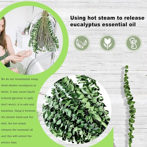 الأوكالبتوس المجفف للاستحمام مع حزمة اللافندر - سيقان الأوكالبتوس الحقيقية ونبات اللافندر المعلق | الرعاية الذاتية، الزفاف، ديكور المنزل in Kuwait