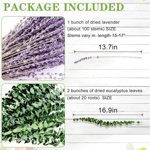 الأوكالبتوس المجفف للاستحمام مع حزمة اللافندر - سيقان الأوكالبتوس الحقيقية ونبات اللافندر المعلق | الرعاية الذاتية، الزفاف، ديكور المنزل in Kuwait