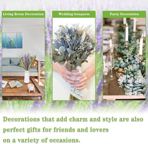 الأوكالبتوس المجفف للاستحمام مع حزمة اللافندر - سيقان الأوكالبتوس الحقيقية ونبات اللافندر المعلق | الرعاية الذاتية، الزفاف، ديكور المنزل in Kuwait