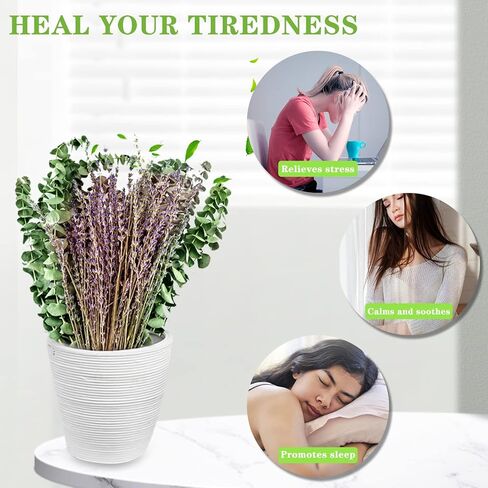 الأوكالبتوس المجفف للاستحمام مع حزمة اللافندر - سيقان الأوكالبتوس الحقيقية ونبات اللافندر المعلق | الرعاية الذاتية، الزفاف، ديكور المنزل in Kuwait