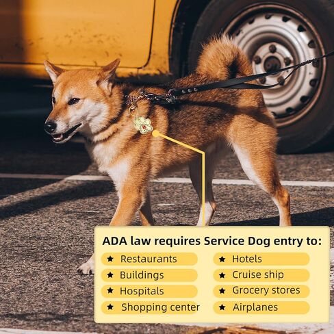 Service Dog ID Tags, Gold Emotional Support Animals Industrial Pet ID Tags for Service Animals, Stainless Steel ESA Service Dog Tag for Emotional Support Dogs and Therapy Dogs in Kuwait
