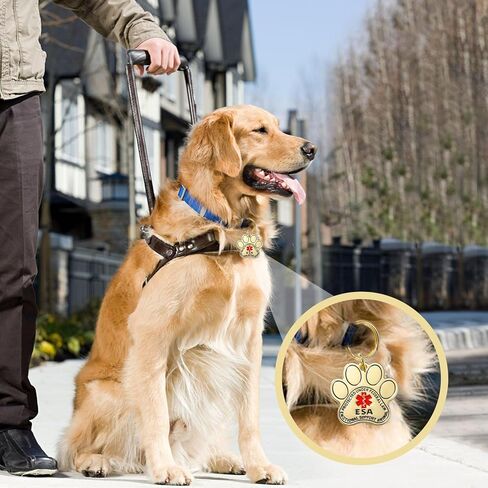Service Dog ID Tags, Gold Emotional Support Animals Industrial Pet ID Tags for Service Animals, Stainless Steel ESA Service Dog Tag for Emotional Support Dogs and Therapy Dogs in Kuwait