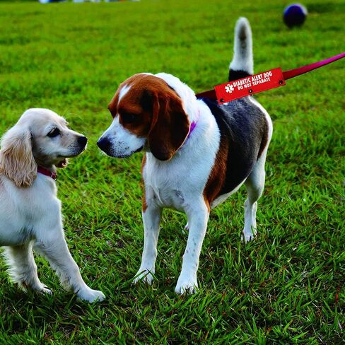 Emergency Medical Alert Dog Leash Sleeve Diabetic Alert Dog Do Not Separate Funny Wrap Alert Hanging ID Patch Tag (Diabetic Alert-YE Sleeve) in Saudi Arabia