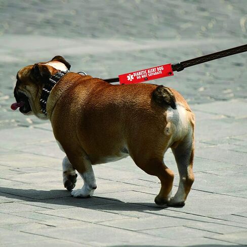 Emergency Medical Alert Dog Leash Sleeve Diabetic Alert Dog Do Not Separate Funny Wrap Alert Hanging ID Patch Tag (Diabetic Alert-YE Sleeve) in Saudi Arabia