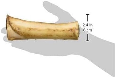 عظم ساق صحي محشو للكلاب - عظام كلب كبيرة مملوءة لجميع السلالات - علاجات لحمية قابلة للهضم ومغذية للحيوانات الأليفة للمضغ العدواني (6 بوصات طبيعية 2 عبوة) in Kuwait