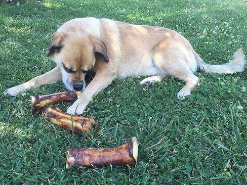 عظم ساق صحي محشو للكلاب - عظام كلب كبيرة مملوءة لجميع السلالات - علاجات لحمية قابلة للهضم ومغذية للحيوانات الأليفة للمضغ العدواني (6 بوصات طبيعية 2 عبوة) in Kuwait