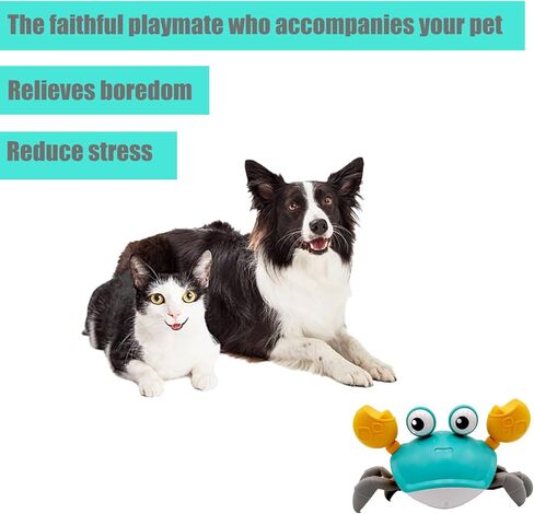 ألعاب الكلاب التفاعلية الزاحفة من gkqlczyy، مع أجهزة استشعار لتجنب العوائق، مع أصوات موسيقية وأضواء للحيوانات الأليفة، مناسبة للقطط والكلاب للتفاعل واللعب، وتعلم ألعاب الزحف في مرحلة الطفولة in Kuwait