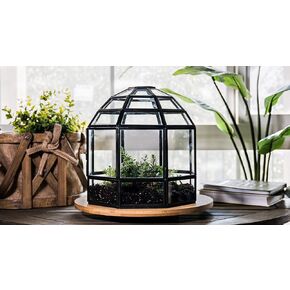 Urban Born Handmade Birdcage Large Glass Terrarium — 10" x 9" x 9" (Black) in Saudi Arabia