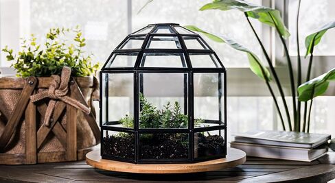 Urban Born Handmade Birdcage Large Glass Terrarium — 10" x 9" x 9" (Black) in Saudi Arabia