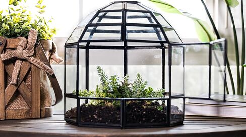 Urban Born Handmade Birdcage Large Glass Terrarium — 10" x 9" x 9" (Black) in Saudi Arabia