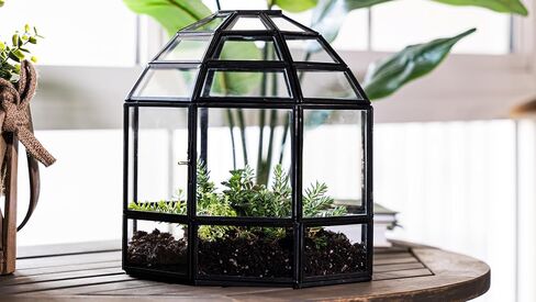 Urban Born Handmade Birdcage Large Glass Terrarium — 10" x 9" x 9" (Black) in Saudi Arabia