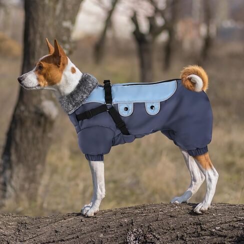 معطف شتوي للكلاب من Queenmore، سترة للكلاب مبطنة بالصوف مقاومة للرياح بأربعة أرجل مع حزام، بدلة ثلج دافئة لكامل الجسم للكلاب مع شرائط عاكسة، معاطف للكلاب في الطقس البارد للكلاب الصغيرة (رمادي أزرق، XS) in Kuwait