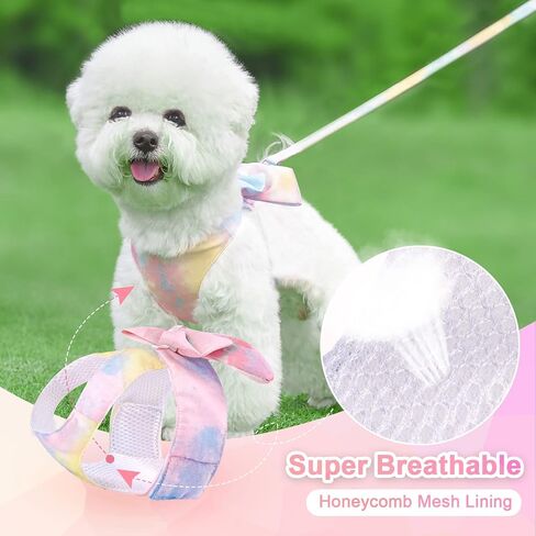 PETCARE Cute Bow Tie Dog Harness and Leash Set Elegant Rainbow Gradient Puppy Harness No Pull Soft Mesh Pet Cat Dog Vest Harnesses for Small Dogs Cats, Pink in Saudi Arabia