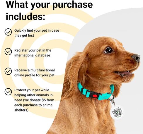 QR Code Dog Tag, Pet ID Tags for Dogs - Silent Dog Tags Personalized for Pets - QR Tag to Pet Online Profile - Stainless Steel Dog Tag with Rubber Silencer (Pets Passport) in Saudi Arabia