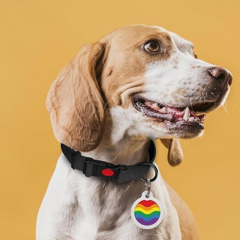 QR Code Dog Tag, Pet ID Tags for Dogs - Silent Dog Tags Personalized for Pets - QR Tag to Pet Online Profile - Stainless Steel Dog Tag with Rubber Silencer (Pets Passport) in Saudi Arabia