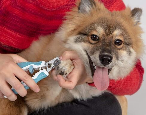 Paws & Pals Dog Nail Clipper Trimmer Scissors for Large or Small Cats and Pets –Stainless Steel Trimming Grooming Tool with Safety Latch & Non-Slip Grip for Home & Professional Use in Kuwait