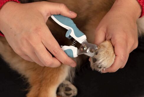 Paws & Pals Dog Nail Clipper Trimmer Scissors for Large or Small Cats and Pets –Stainless Steel Trimming Grooming Tool with Safety Latch & Non-Slip Grip for Home & Professional Use in Kuwait