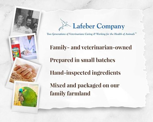 Lafebercares Avi-Cakes [مجموعة من 2] الحجم: 7 بوصة in Kuwait