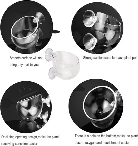 فاشن كلابس حامل اكواب من الزجاج الكريستالي للنباتات المائية، وعاء زجاجي لحوض السمك وعاء زجاجي للنباتات الحية حامل الروبيان الاحمر مع 2 ماصة، ديكور حوض السمك، عبوة من قطعتين in Kuwait