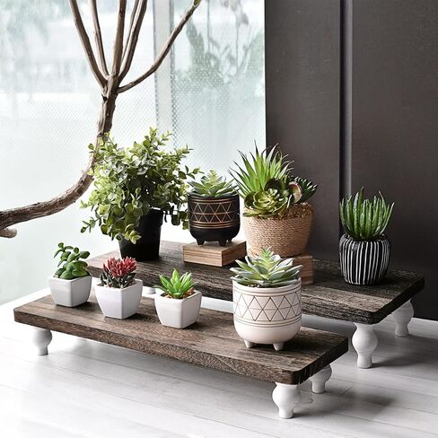 Ikee Design 2 Pcs Set Wooden Display Riser, Wood Cupcake Dessert Display Riser, Countertop Dessert Serving Stand Wood, Cake Display Riser Stands Wood in Saudi Arabia