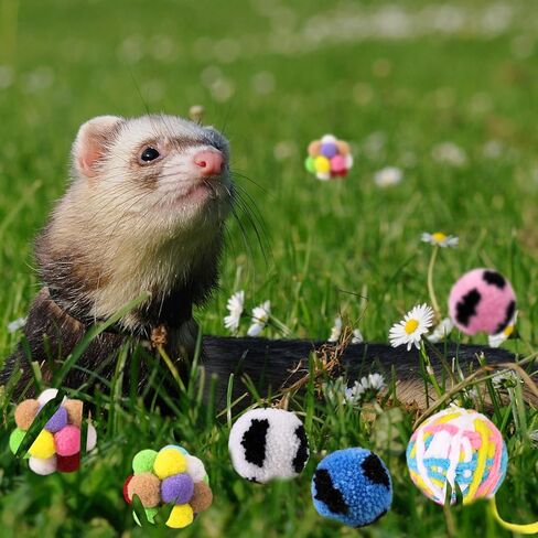 Wedding Pails 9 Pack Ferret Toys Ball Set,Rainbow Cat Toy Balls, Colorful Woolen Yarn Ferret Balls Cat Pom Pom Balls Interactive Sound Toy Exercise for Ferret Cat Kittens in Kuwait