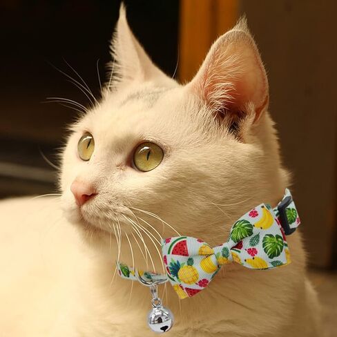 3 Pack Fall Cat Collar with Bow Kitten Bowtie Collar with Bell Autumn Breakaway Adjustable Collars in Kuwait