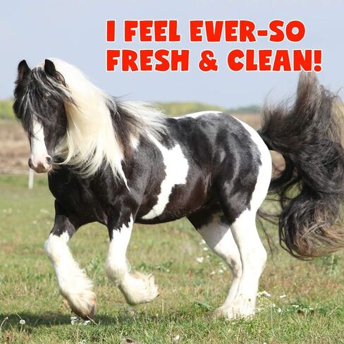 The Blissful Horses Simply Clean Sheath Butter All Natural Cleansing for Your Horse in Kuwait