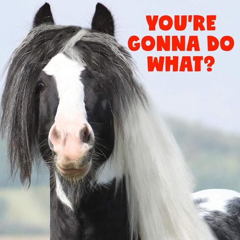 The Blissful Horses Simply Clean Sheath Butter All Natural Cleansing for Your Horse in Kuwait