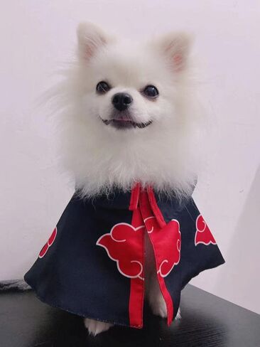 QAQ-COSPLAY Anime Pets Costume Akatsuki Cloak Dog Cat Cosplay Halloween Chirstmas Costume Small in Kuwait