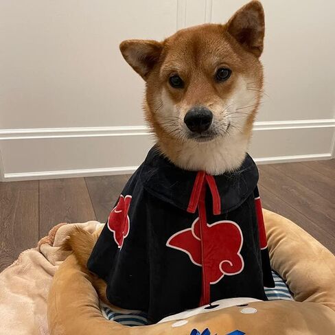 QAQ-COSPLAY Anime Pets Costume Akatsuki Cloak Dog Cat Cosplay Halloween Chirstmas Costume Small in Kuwait