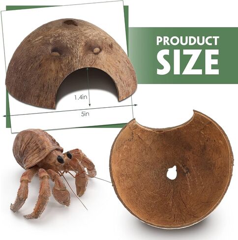 6 Pcs Coconut Shell Reptile Hideouts Hut Reptile Hides and Caves Coconut Hide for Reptile Small Animal Hide Cave Hut for Leopard Gecko Snake Aquarium Fish Lizard Hermit Crab Supplies House Accessories in Saudi Arabia