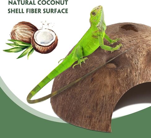 6 Pcs Coconut Shell Reptile Hideouts Hut Reptile Hides and Caves Coconut Hide for Reptile Small Animal Hide Cave Hut for Leopard Gecko Snake Aquarium Fish Lizard Hermit Crab Supplies House Accessories in Saudi Arabia