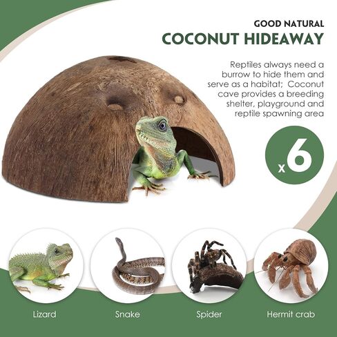 6 Pcs Coconut Shell Reptile Hideouts Hut Reptile Hides and Caves Coconut Hide for Reptile Small Animal Hide Cave Hut for Leopard Gecko Snake Aquarium Fish Lizard Hermit Crab Supplies House Accessories in Saudi Arabia