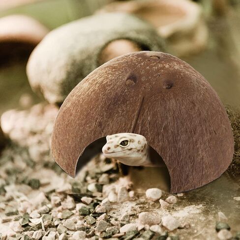 6 Pcs Coconut Shell Reptile Hideouts Hut Reptile Hides and Caves Coconut Hide for Reptile Small Animal Hide Cave Hut for Leopard Gecko Snake Aquarium Fish Lizard Hermit Crab Supplies House Accessories in Saudi Arabia