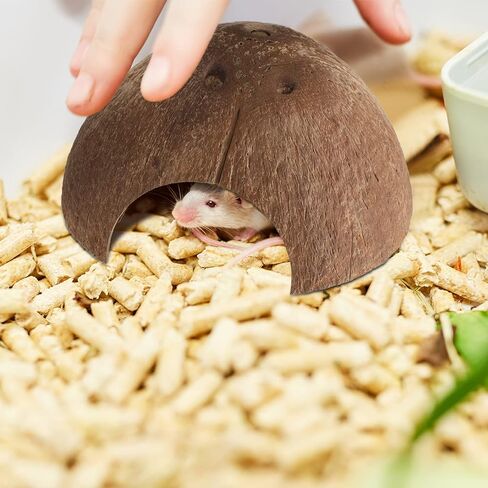 6 Pcs Coconut Shell Reptile Hideouts Hut Reptile Hides and Caves Coconut Hide for Reptile Small Animal Hide Cave Hut for Leopard Gecko Snake Aquarium Fish Lizard Hermit Crab Supplies House Accessories in Saudi Arabia