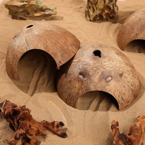 6 Pcs Coconut Shell Reptile Hideouts Hut Reptile Hides and Caves Coconut Hide for Reptile Small Animal Hide Cave Hut for Leopard Gecko Snake Aquarium Fish Lizard Hermit Crab Supplies House Accessories in Saudi Arabia