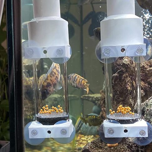 حاضنة بيض السمك من دانيسلي - حاضنة تفريخ الأسماك في حوض السمك، حاضنة تفريخ البهلوان لتربية الفم لخزان الأسماك، 50 مم in Kuwait