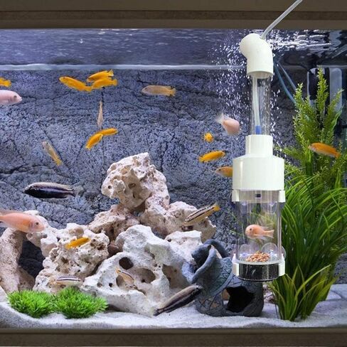 حاضنة بيض السمك من دانيسلي - حاضنة تفريخ الأسماك في حوض السمك، حاضنة تفريخ البهلوان لتربية الفم لخزان الأسماك، 50 مم in Kuwait